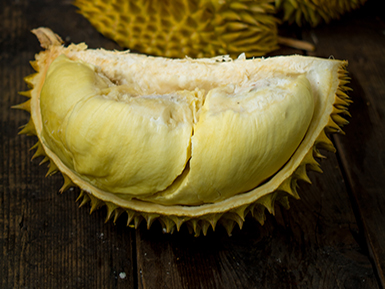 九游体育官方注册基地展示二